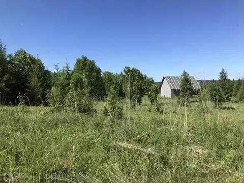 Участок в Пермский край, Осинский муниципальный округ, д. Сергеева ул. ...