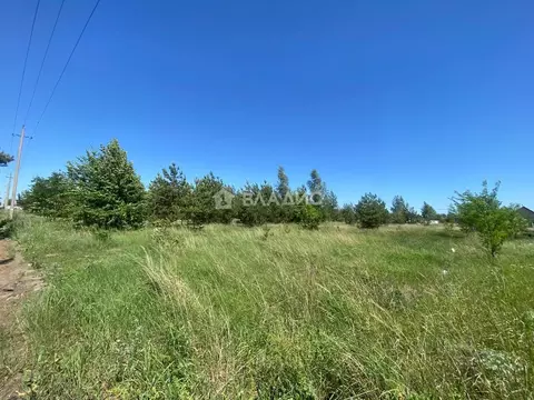 Участок в Воронежская область, Рамонский район, с. Новоживотинное  ...