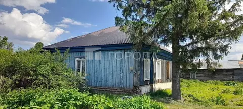 Дом в Алтайский край, Новоалтайск ул. Перфишина, 38 (44 м)
