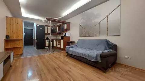 Студия Санкт-Петербург Туристская ул., 10к1 (29.1 м)