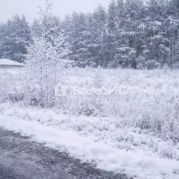 Участок в Нижегородская область, Богородский муниципальный округ, с. ...