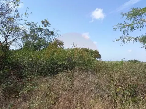 Участок в Крым, Сакский район, Ореховское с/пос, с. Михайловка  (5.03 ...