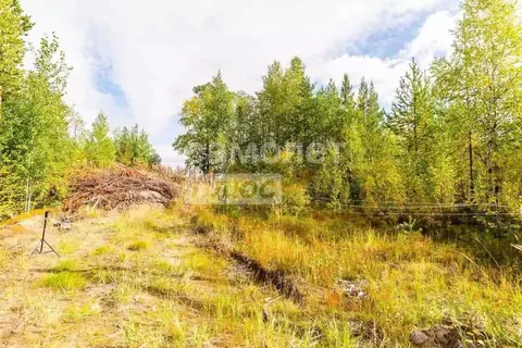 Участок в Ханты-Мансийский АО, Сургутского муниципального района тер., ...