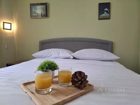 1-к кв. Камчатский край, Петропавловск-Камчатский ул. Ларина, 18/1 ...