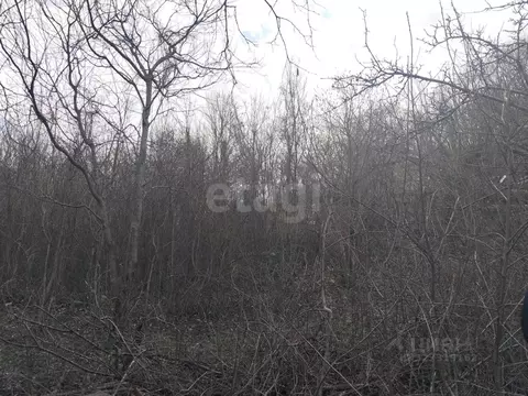 Участок в Краснодарский край, Геленджик городской округ, с. ...