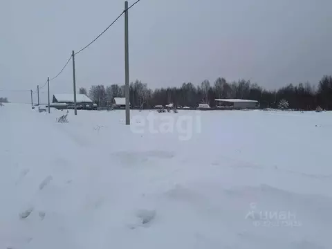 Участок в Свердловская область, Кушва пос. Степановка,  (19.6 сот.)