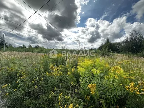 Участок в Владимирская область, Суздальский район, Новоалександровское ...