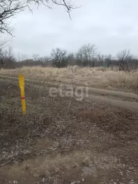 Участок в Ростовская область, Азов Азовский район, Мичуринец-3 мкр,  ...