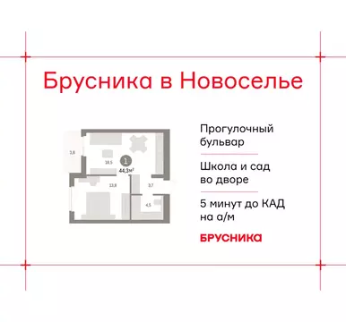 1-комнатная квартира: Новоселье, ЖК Брусника (44.26 м)