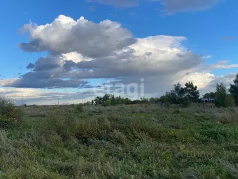 Участок в Амурская область, Благовещенский район, с. Волково  (10.0 ...