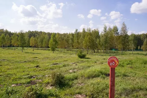 Участок в Тульская область, Заокский район, Демидовское муниципальное ...