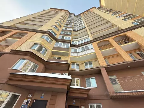 Студия Московская область, Звенигород Одинцовский городской округ, ...