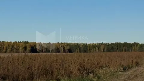 Участок в Тюменская область, Тюменский муниципальный округ, с. Каменка ...