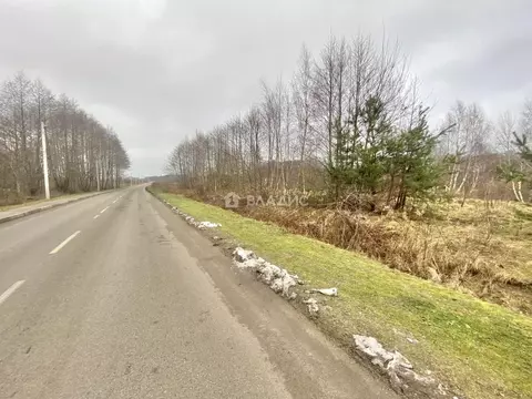 Участок в Калининградская область, Ладушкин Школьная ул. (8.0 сот.)