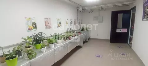 Помещение свободного назначения в Краснодарский край, Анапа ул. ...