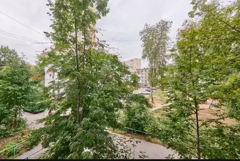 1-к кв. Пермский край, Пермь ул. Куйбышева, 51 (32.6 м)