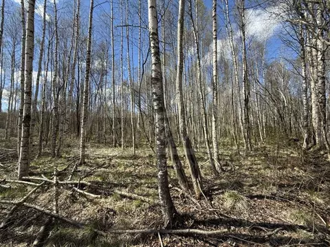 Участок в Ленинградская область, Выборг ул. Младших Командиров (20.0 ...