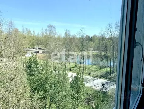 2-к кв. Ленинградская область, Ломоносовский район, Низинское с/пос, ...