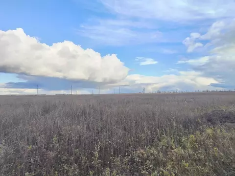 Участок в Тамбовская область, Тамбов ул. Имени Константина Малофеева, ...