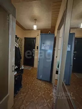 3-к кв. Брянская область, Брянск Октябрьская ул., 13 (49.0 м)