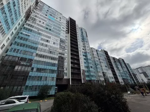 Студия Санкт-Петербург аллея Арцеуловская, 23к1 (24.0 м)