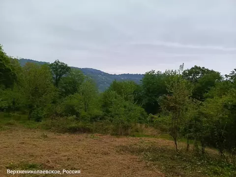 Участок в Краснодарский край, Сочи городской округ, с. ...