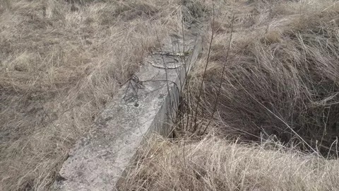 Участок в Орловская область, Орловский район, с. Альшань 71А (30.0 ...