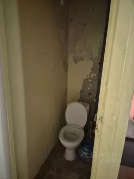 Помещение свободного назначения в Липецкая область, Липецк ул. ...