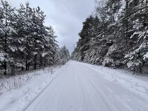 Участок в Владимирская область, Александровский муниципальный округ, ...