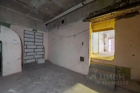 Производственное помещение в Санкт-Петербург Промышленная ул., 5 (264 ...