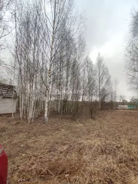 Участок в Марий Эл, Медведевский район, Знаменское с/пос, д. Яметкино  ...