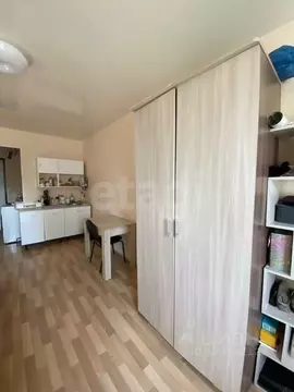 Студия Кемеровская область, Кемерово Космическая ул., 18 (23.2 м)