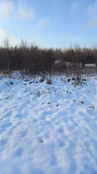 Участок в Марий Эл, Медведевский район, Куярское с/пос, Чодра СНТ  ...