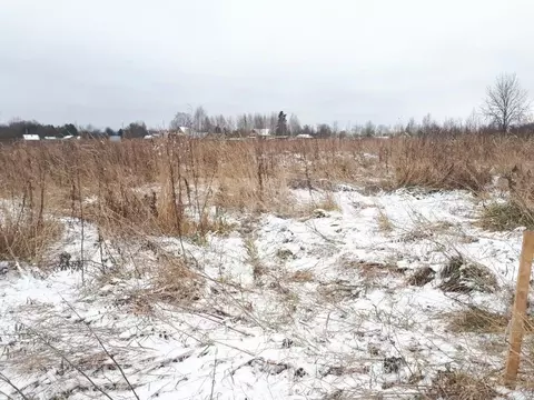 Участок в Вологодская область, д. Барское  (15.0 сот.)