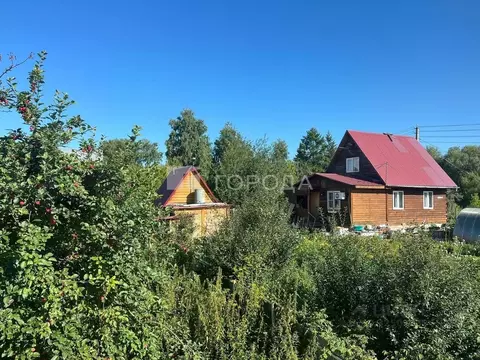 Участок в Новосибирская область, Новосибирск Золотая Горка СНТ, аллея ...