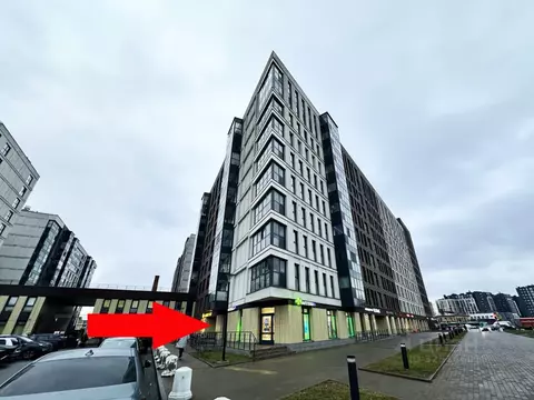 Помещение свободного назначения в Санкт-Петербург Лиговский просп., ...