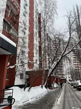 1-к кв. Москва Перовская ул., 39К3 (39.0 м)