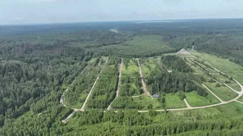Участок в Ленинградская область, Приозерский район, Раздольевское ...