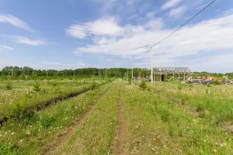 Участок в Тюменская область, Тюменский муниципальный округ, с. Кулига ...