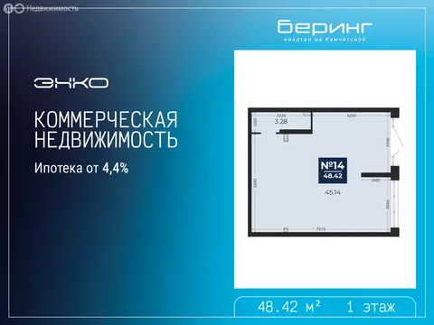 Помещение свободного назначения (48.42 м)