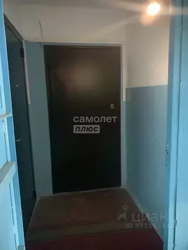 3-к кв. Татарстан, Нижнекамск просп. Вахитова, 2 (65.7 м)