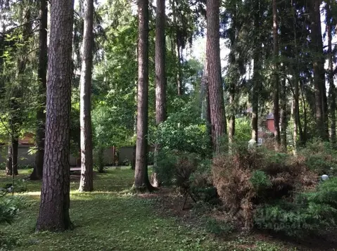 Участок в Московская область, Одинцовский городской округ, с. Юдино, ...