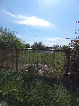 Участок в Брянская область, Брянск Железнодородник СНТ, ул. Заречная ...