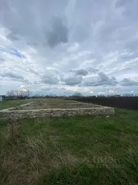 Участок в Ростовская область, Неклиновский район, с. Лакедемоновка ул. ...