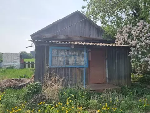 3-к кв. Амурская область, Тамбовский муниципальный округ, с. ...