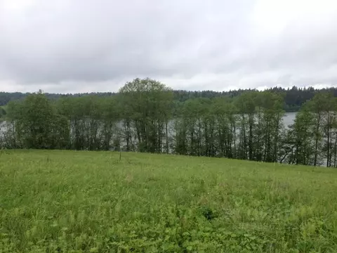 Участок в Новгородская область, Демянский муниципальный округ, д. ...