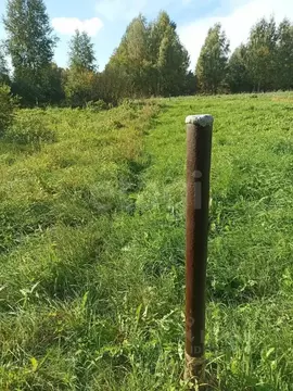 Участок в Псковская область, Печорский муниципальный округ, д. Кулиско ...