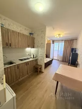 Студия Ленинградская область, Мурино Всеволожский район, бул. ...
