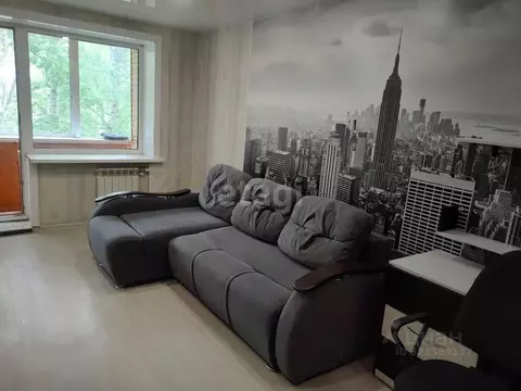 2-к кв. Амурская область, Благовещенск Зейская ул., 204 (45.0 м)