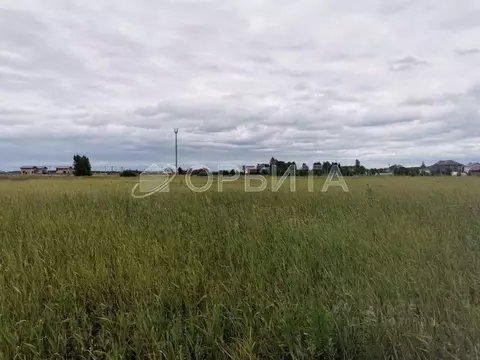 Участок в Тюменская область, Тюменский район, д. Елань 14 (8.0 сот.)